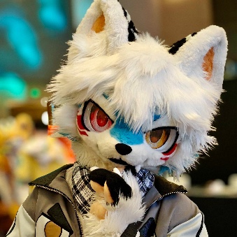 狐九Fox-Nine的头像