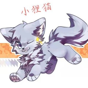 小狸猫的头像