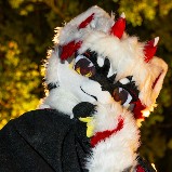 小黑小黑的头像