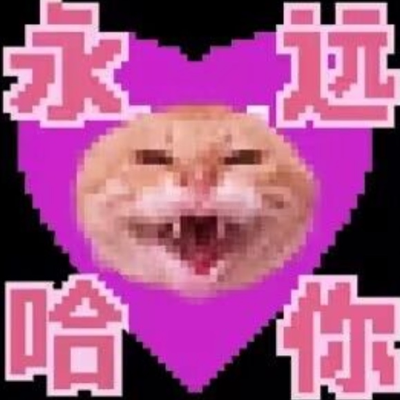哈气咪南北黄豆浆的头像