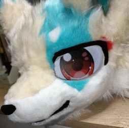 小招Arctic Fox的头像