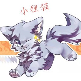 小狸猫的头像