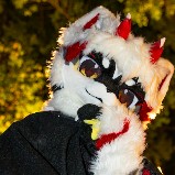 小黑小黑的头像