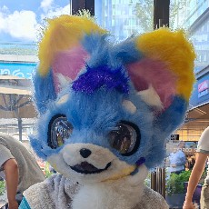 耀浪浪浪~的头像