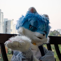 墨玉recall的头像